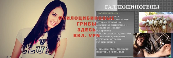 твердый Алексин